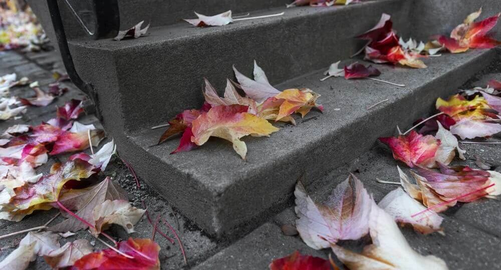 leaves on concrete stairs
