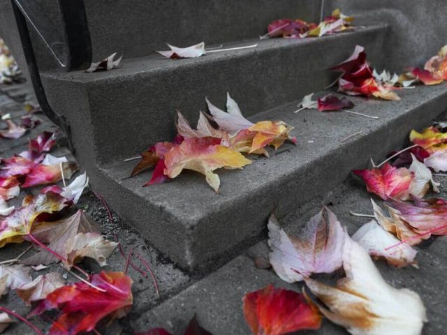 leaves on concrete stairs
