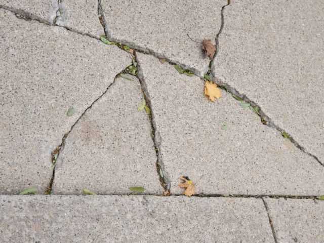 cracked sidewalk in need of concrete repair